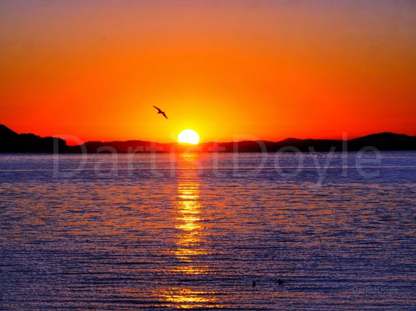 Coucher de soleil vibrant sur un lac, reflet doré sur l'eau calme.