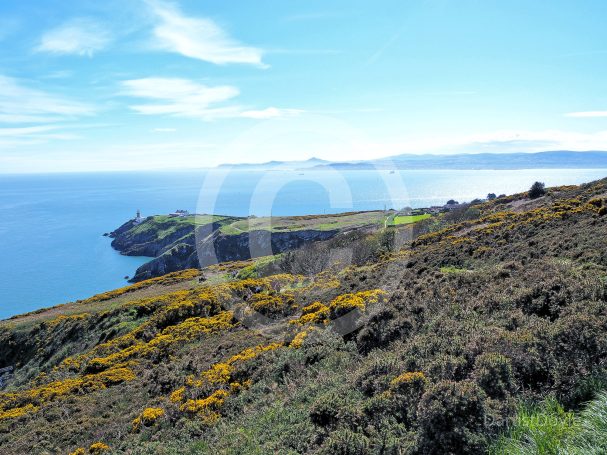 Côte verdoyante surplombant la mer sous un ciel bleu clair.