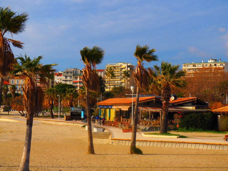 Plage avec palmiers, bâtiments en arrière-plan, ciel bleu et nuages.